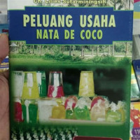 Pembutan Nata De Coco